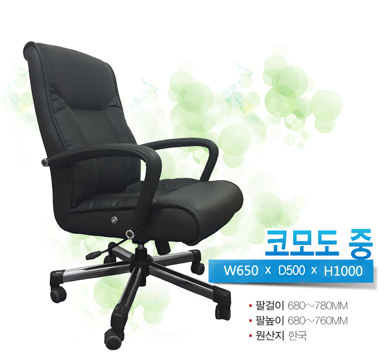 부흥레인보우